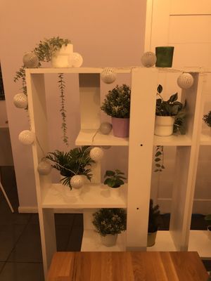   at Slodki Bez in Warsaw