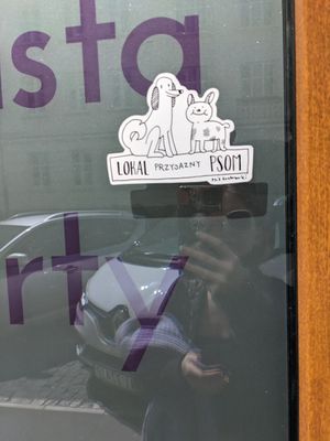 Dog friendly at Slodki Bez in Warsaw