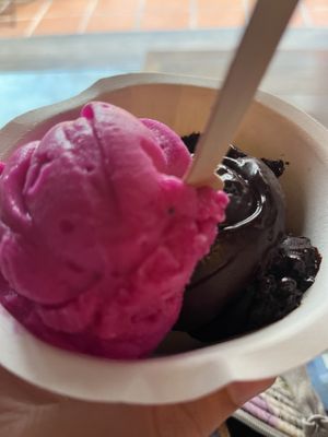   at Gelato Lab in Siem Reap