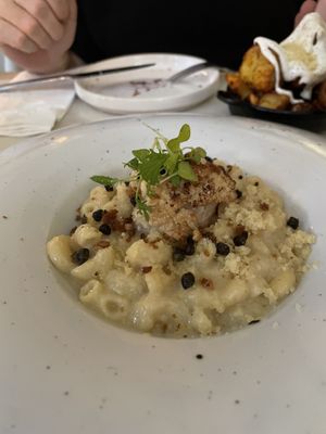 Roasted cauliflower with mac and cheese   at Meatless District - Da Costabuurt in Amsterdam