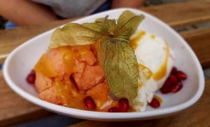 Eiscreme (Melone und Cocos) at Grunschnabel in Bautzen