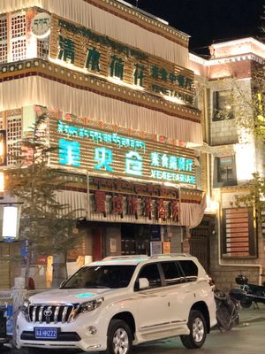 outside - easy to spot! says VEGETARIAN (but actually vegan) at A Lotus on the Water in Tibet