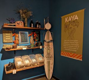interior at Bula Kava House in Portland