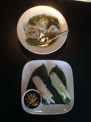 wonton soup and spring rolls at Bayberry Vegan Cafe in Woburn