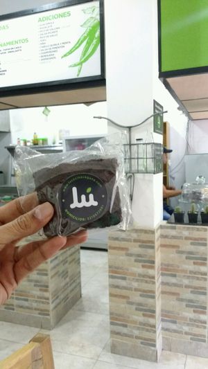 vegan brownies at Lu Cocina Vegana in Bogota