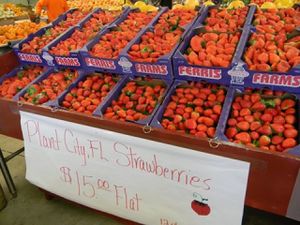 Locally grown strawberries pints at Bailey's Produce & Nursery in Pensacola