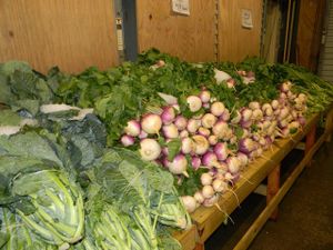 Collards and Turnips at Bailey's Produce & Nursery in Pensacola
