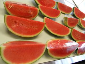 Cut watermelon for sale at Bailey's Produce & Nursery in Pensacola
