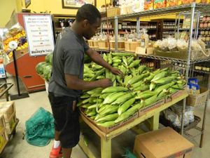 Locally grown corn at Bailey's Produce & Nursery in Pensacola