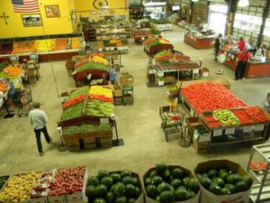 Overview photo of the market at Bailey's Produce & Nursery in Pensacola
