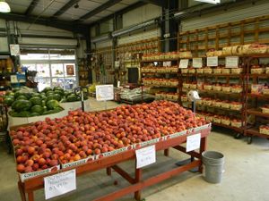 Locally grown peaches at Bailey's Produce & Nursery in Pensacola