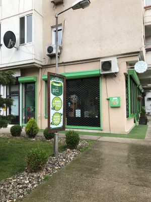 Bistraw restaurant at Bistraw Zdravo Zivo in Skopje