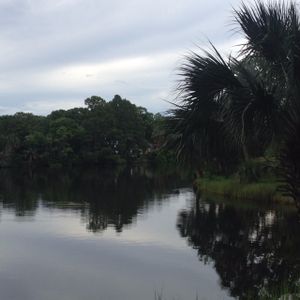 Lake view from Finn's at Finn's at Little Village in Panama City