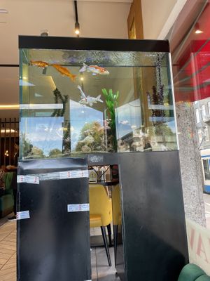 Fish in the entrance   at Saravana Bhavan in Amsterdam