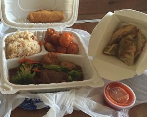 dinner combo 1 and pot stickers at Yuan Su Vegetarian in Portland