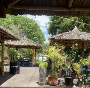 The view from our table. Tables out front of cafe and out in back garden  at Kimnat Little Market & Cafe in Sunshine Coast