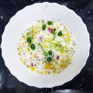 Yogurt with Kefir and coconut Milk
Radish Sprouts and hemp seeds  at Happy Belly / Eat Smart in Tirana