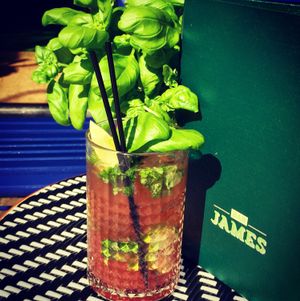 Rhubarb mojito! at Bar James in Amsterdam
