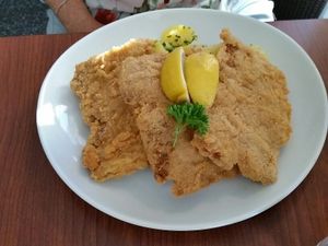 soy schnitzel at Vegana Indiana in Vienna