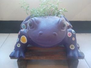 el sapo vegano at Aba Opción Vegetariana in Bogota