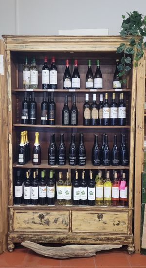 Great variety of Portuguese Vegan Wines! at Green Beans in Lisbon