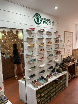 Zapatillas  at Green Beans in Lisbon