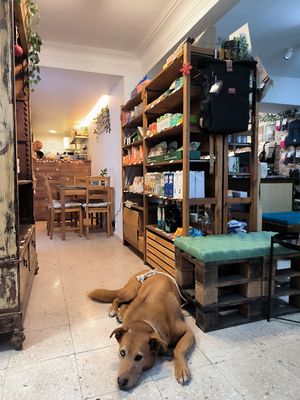  at Green Beans in Lisbon