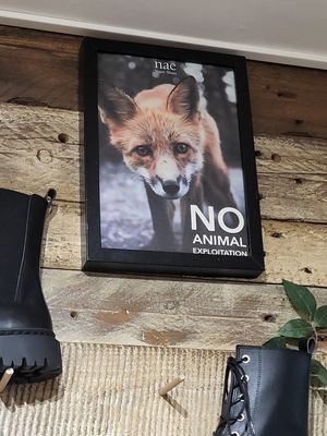  at Green Beans in Lisbon