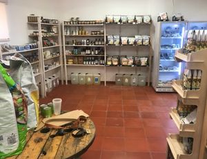 Shop at Green Beans in Lisbon