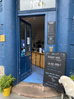 The entrance dogs are welcome!  at Velocity Cafe in Inverness