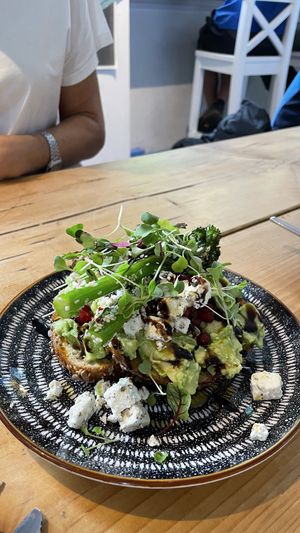   at Velocity Cafe in Inverness