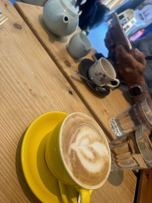   at Velocity Cafe in Inverness