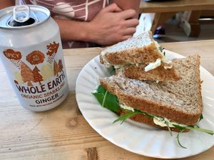 Egg salad sandwich. at Velocity Cafe in Inverness
