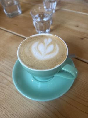   at Velocity Cafe in Inverness