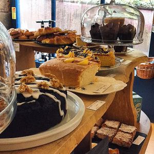 Velocity at Velocity Cafe in Inverness