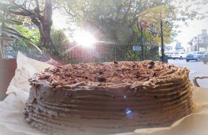 Vegan mocha cake at Velocity Cafe in Inverness