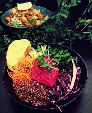 Vegan  at Terapija in Riga