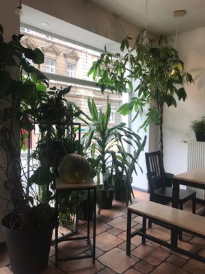 interior at Terapija in Riga