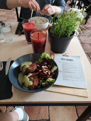 Dish of the day at Terapija in Riga