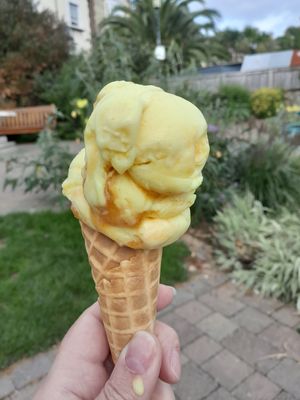 Vegan Salted Caramel at Crave Ice Cream in Ventnor
