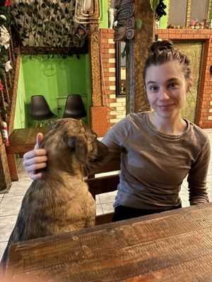 A friendly dog! at Xela Green in Quetzaltenango