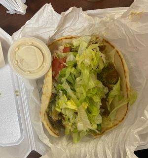 Falafel hummus wrap  at Gyro Plus in Gainesville