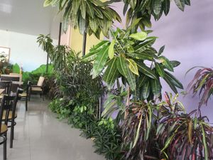  at Chez Dom Yopal in Yopal