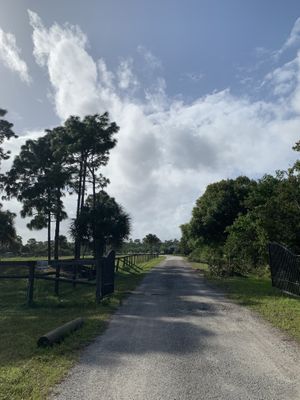Road to farm at Organic Rising Bakery in Malabar