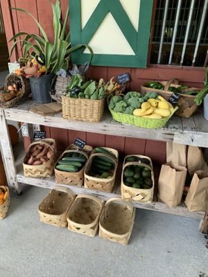 Store at Organic Rising Bakery in Malabar