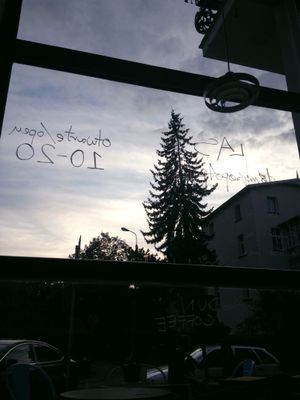 View from inside at LAS in Sopot