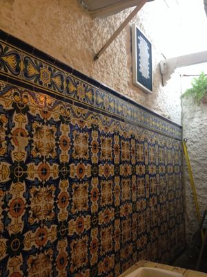 Inside decor at Pura Vida Vegan Bar in Madrid