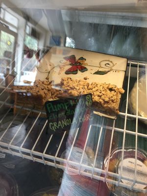 Vegan gluten free pumpkin chocolate granola bars at Kaya's in Kawanui