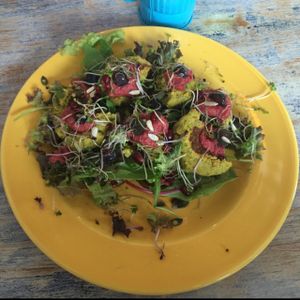 Falafel Sandwich at Sunshine in Breda