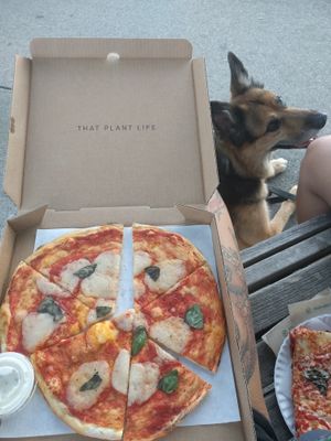 that mozzarella was so good! at Virtuous Pie  in Vancouver